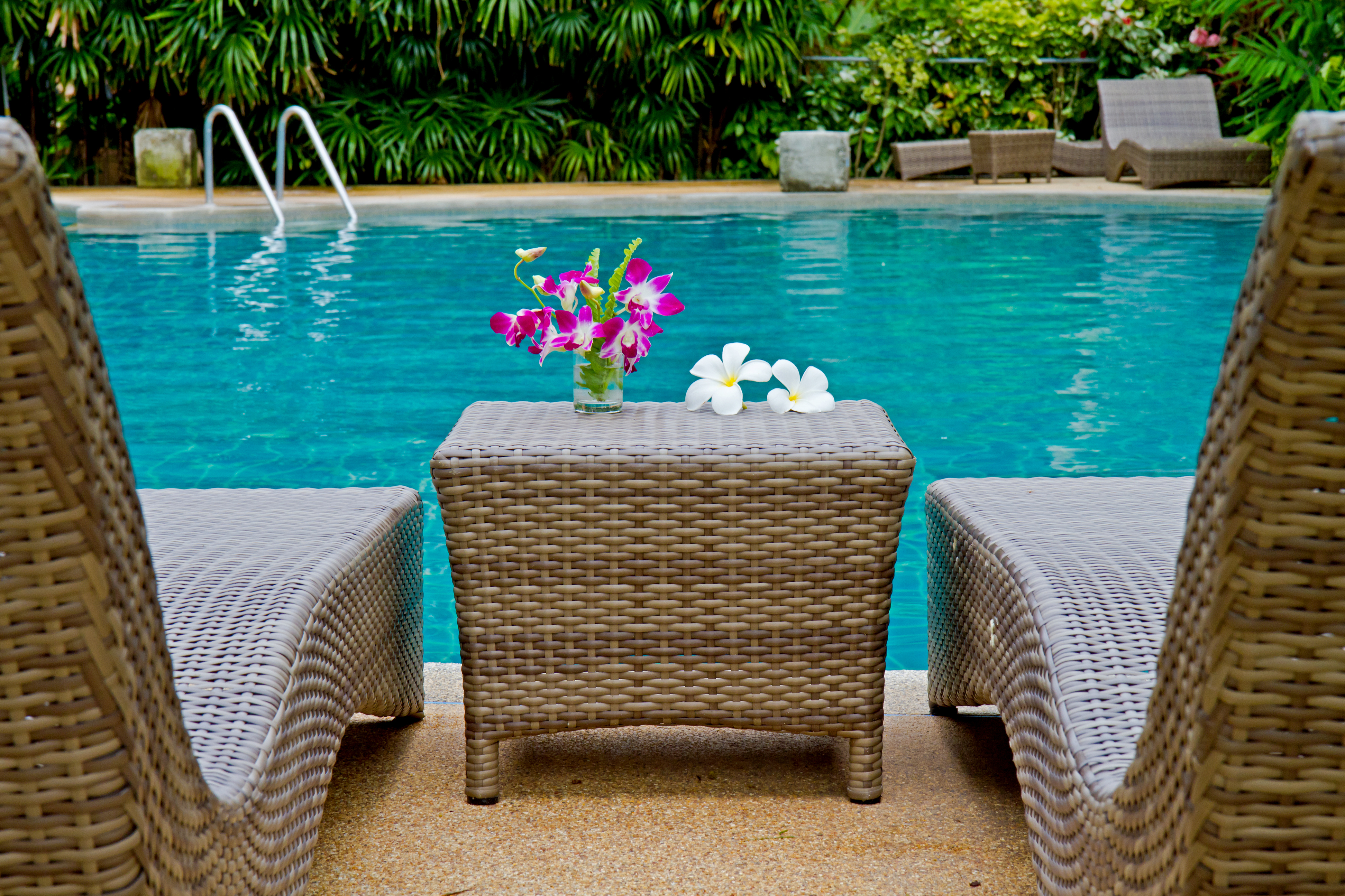 A shot of two lounge chairs by a pool with flowers between them